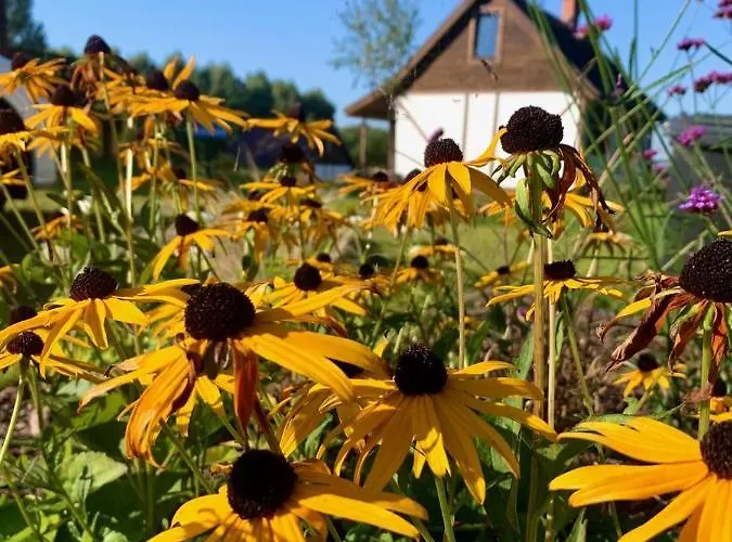 Warmia Dom wakacyjny *