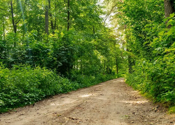 Warmia Dom wakacyjny *